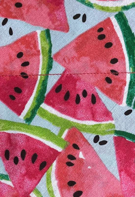 Watermelon dog bandana