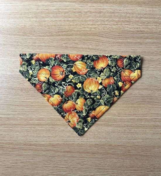 Pumpkin Patch Dog Bandana