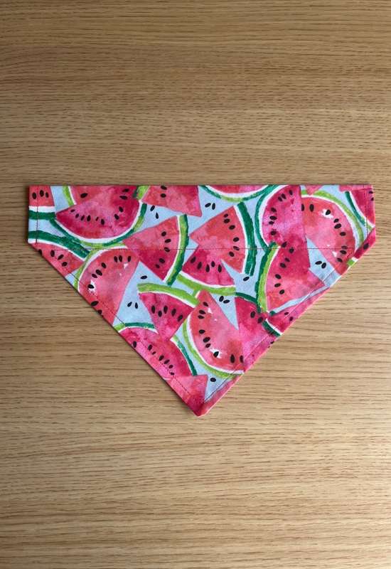 Watermelon Dog Bandana