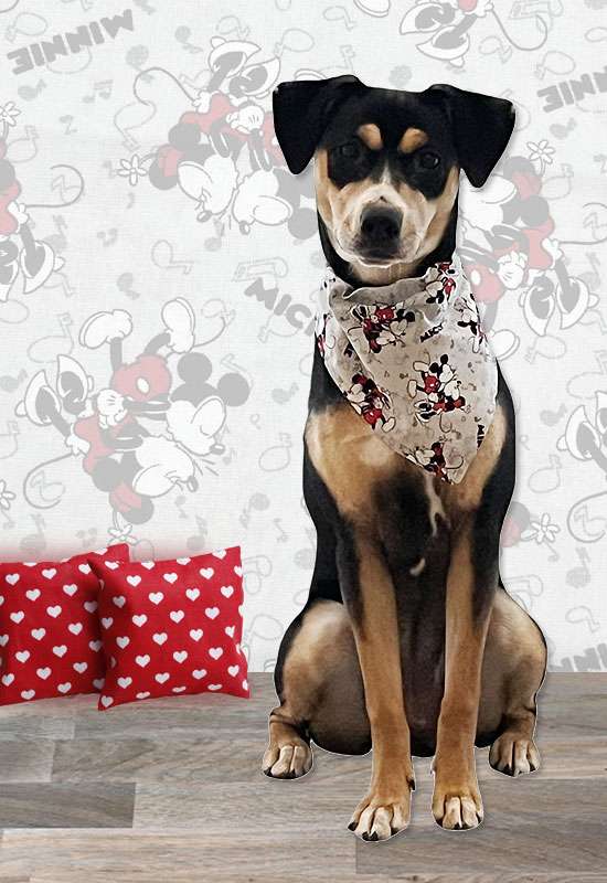 Mickey & Minnie Dog Bandana